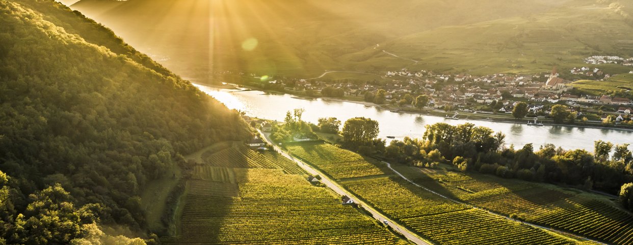 Die Wachau - Vinea Wachau