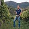 Weingut Florian Schneeweis